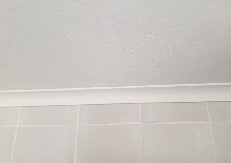 Ceiling Project 1